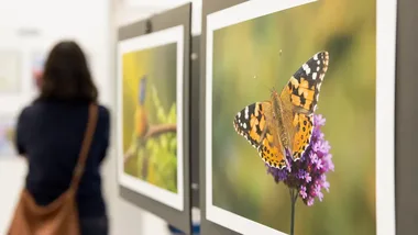 Góry Stołowe w obiektywie siedleckich fotografów - wystawa w Fokus